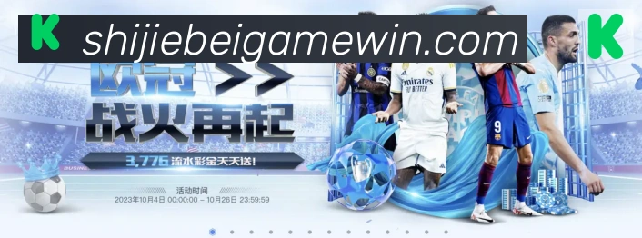 奖项2